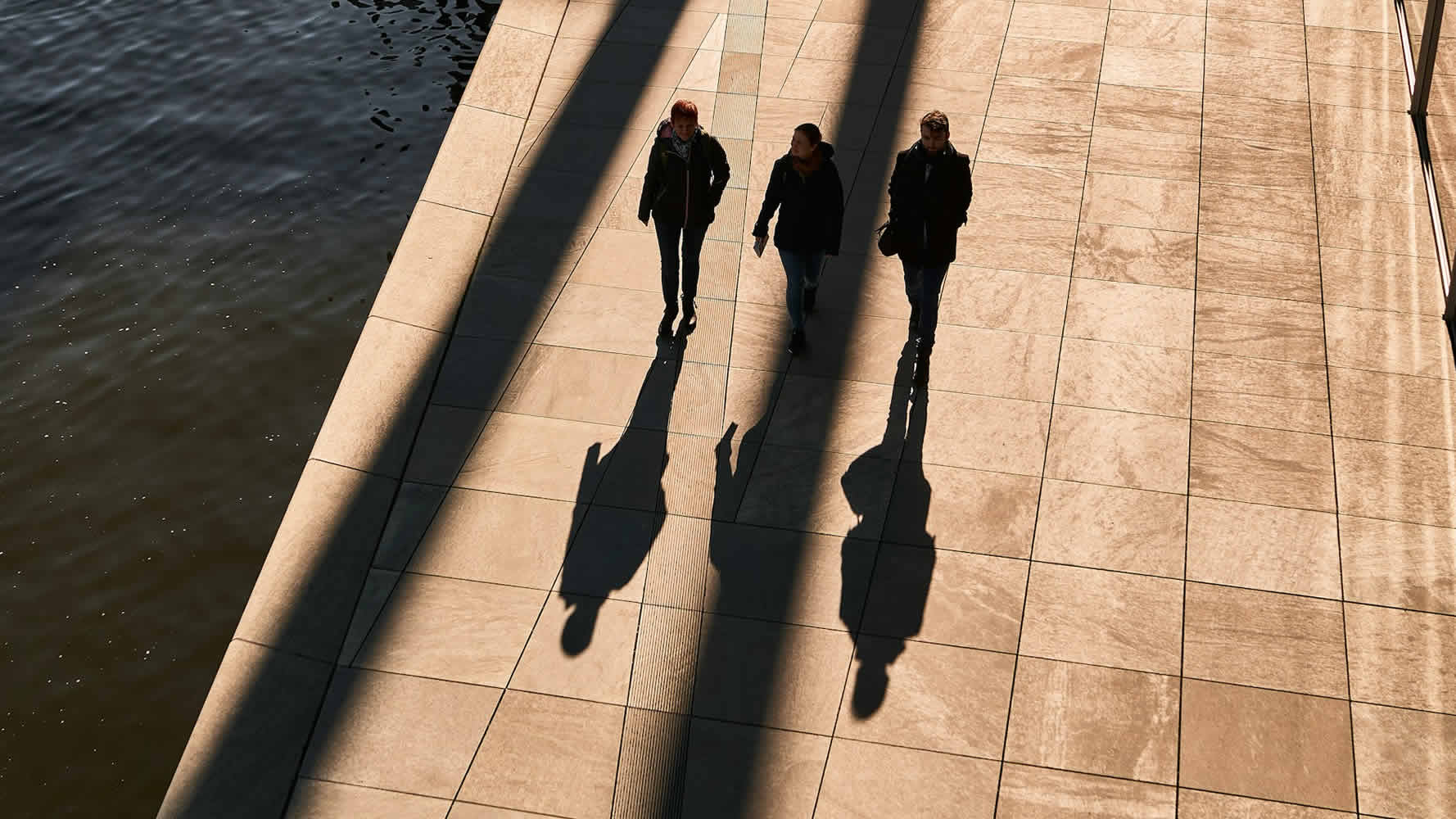 Insurance claims management services